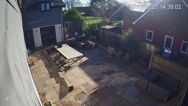 Two members of West Norfolk Hunt group from Necton convicted of illegal fox hunting after incidents at Hingham and Tittleshall