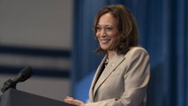 ¿Es Kamala Harris la indicada para ganarle el pulso a Trump en las presidenciales de EE.UU.?