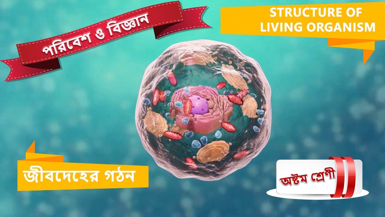 Class 8_Poribesh O Bigyan_জীবদেহের গঠন - Structure Of Living Organism