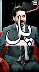 pal pal tadpe jes pal Kelly