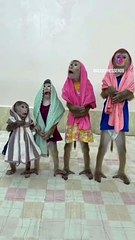 Funny video monkey #fun #funny #monkey #shortsfeed #viral