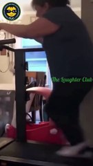 The end  #viral #shorts #fails #funny #tlcfunny