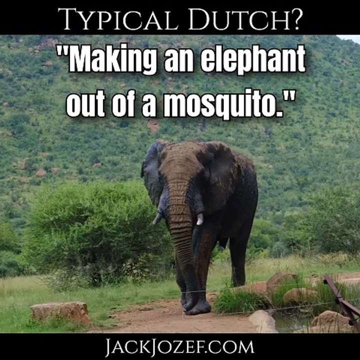 #007 - Typical Dutch? - "Making an elephant out of a mosquito. "
