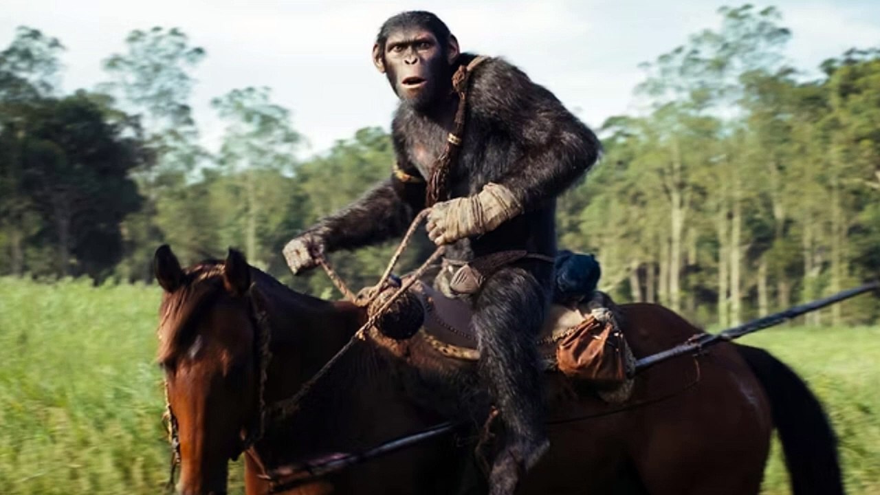 Win Free Tickets to Our 'Kingdom of the Planet of the Apes' IMAX Screening