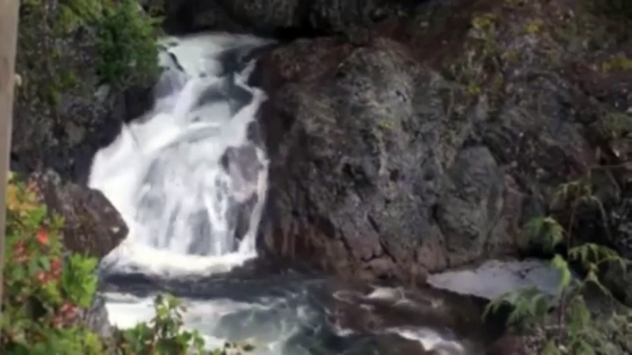 عزف ماهر الغمرى,,,,,,,,,رائعة عبد الحليم,,,,,قارئة الفنجان ,,,,,المقطع الاول والثانى,, والزمن الجميل