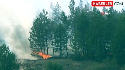Kastamonu'daki orman yangınına müdahale sürüyor