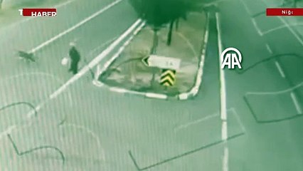 Niğde'de sahipli 2 köpeğin saldırdığı kadın yaralandı