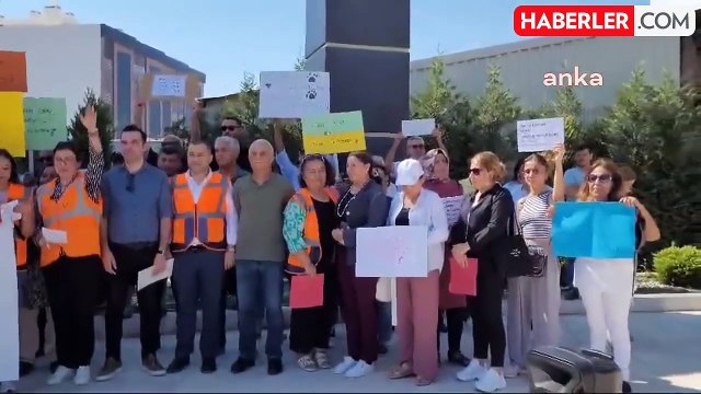 Sokak köpeklerine yönelik düzenlemede ötanazi kelimesi çıkarılıyor
