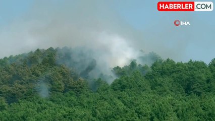 Karabük'te orman yangını