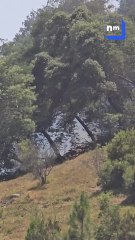 Incendie à Mandelieu : d’importants moyens mobilisés pour un feu qui menace des habitations