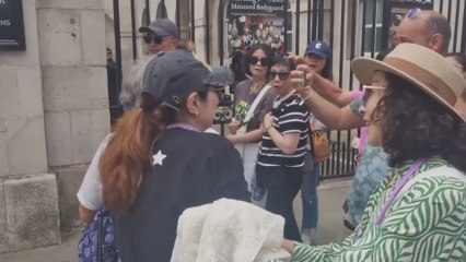 Un caballo de la Guardia Real inglesa muerde a una turista que intentaba hacerse una foto con ella