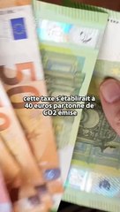  Le Danemark va taxer ses porcs, vaches et moutons