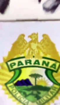 Equipe do BPFron Umuarama apreende mercadorias do Paraguai avaliadas em R$ 130 mil