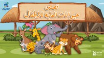 مجموعه كبيره من قصص حيوانات الغابه