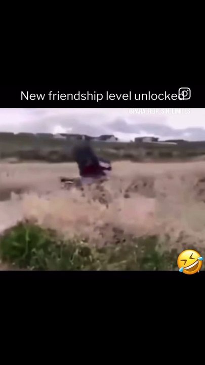 Funny video