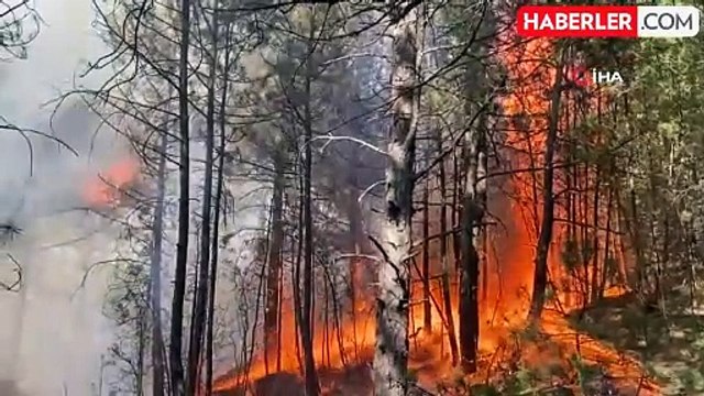 Karabük'teki orman yangınında alevler yayılıyor