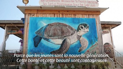 Sur les côtes turques, le baby-boom des tortues marines
