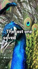 Facts that could save your life.