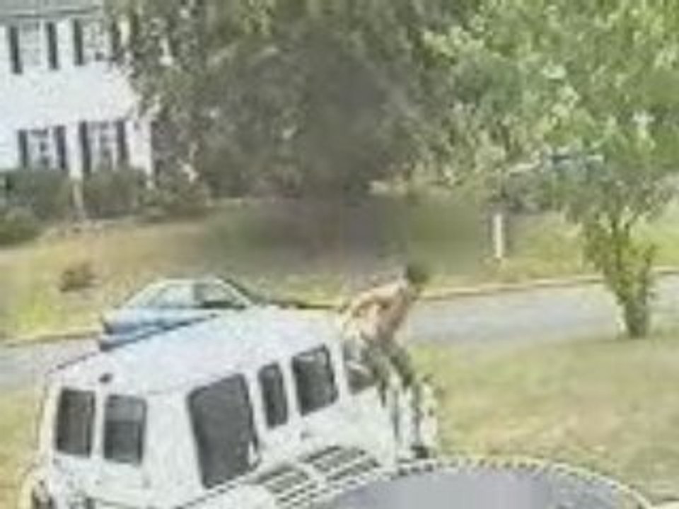 Funny Videos - Jackass - Trampoline Pool