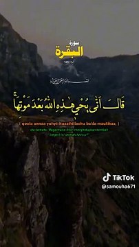 بسم الله الرحمن الرحيم