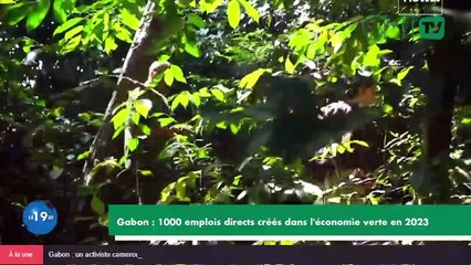 [#Journal ] Le 19H30 du 22  juillet 2024