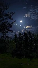 Nature Beauty_7391460056430103813-no-watermark