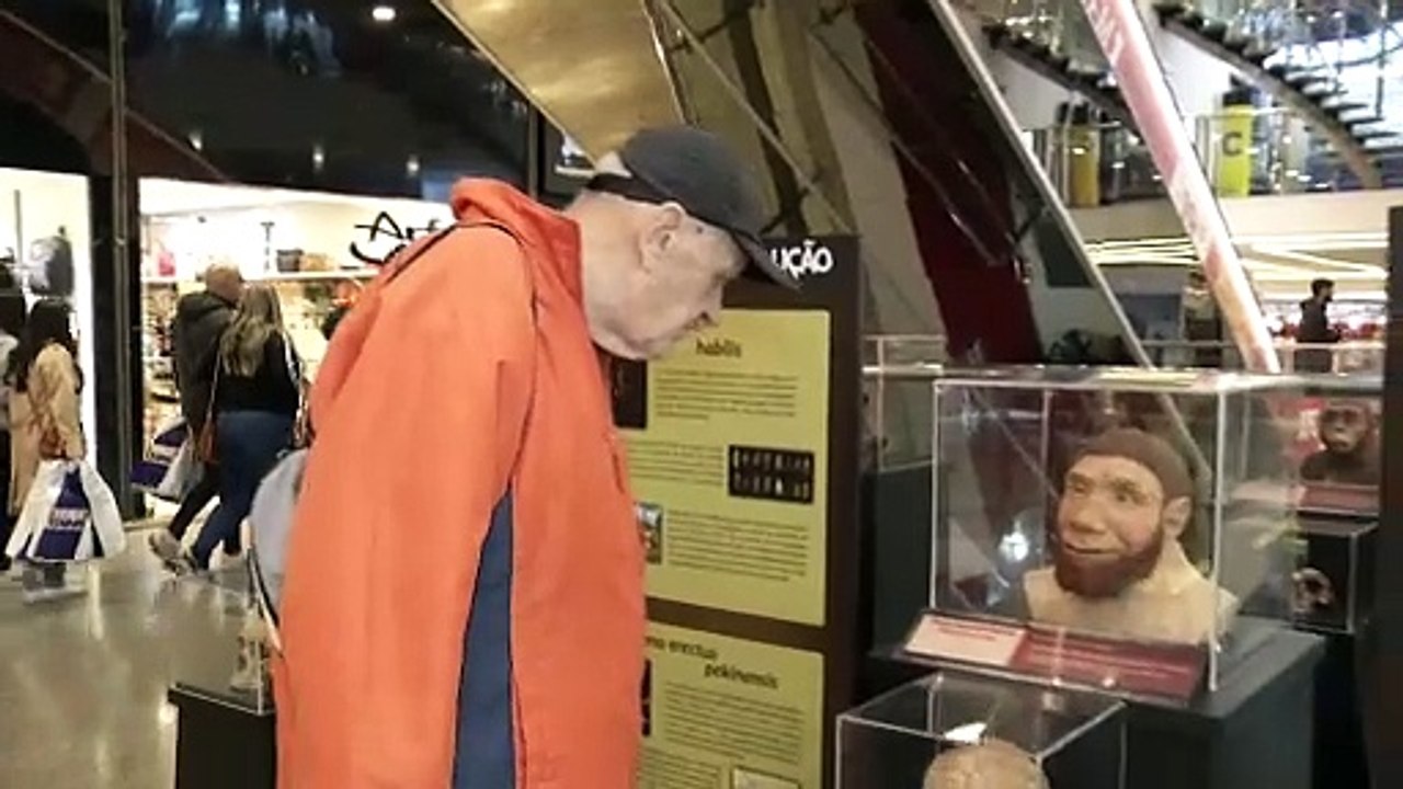 Conheça a exposição 'Caminhos da Evolução'