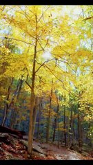 AMAZING WORLD IN 58 SECONDS.