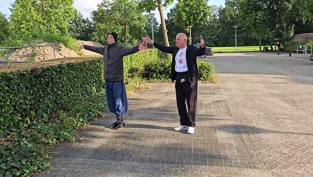 Element Heng 'Earth' Xing Yi Quan at Shaolin He Yong Gan Martial Arts