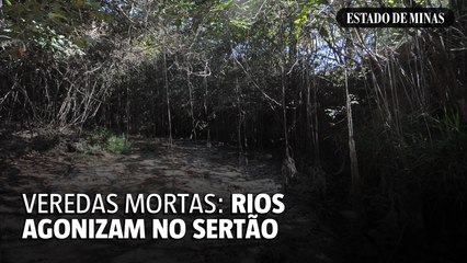 Veredas mortas: rios agonizam no sertão