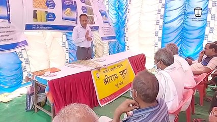 Discovering Success with Shriram Super 1 SR 14 Wheat Seeds