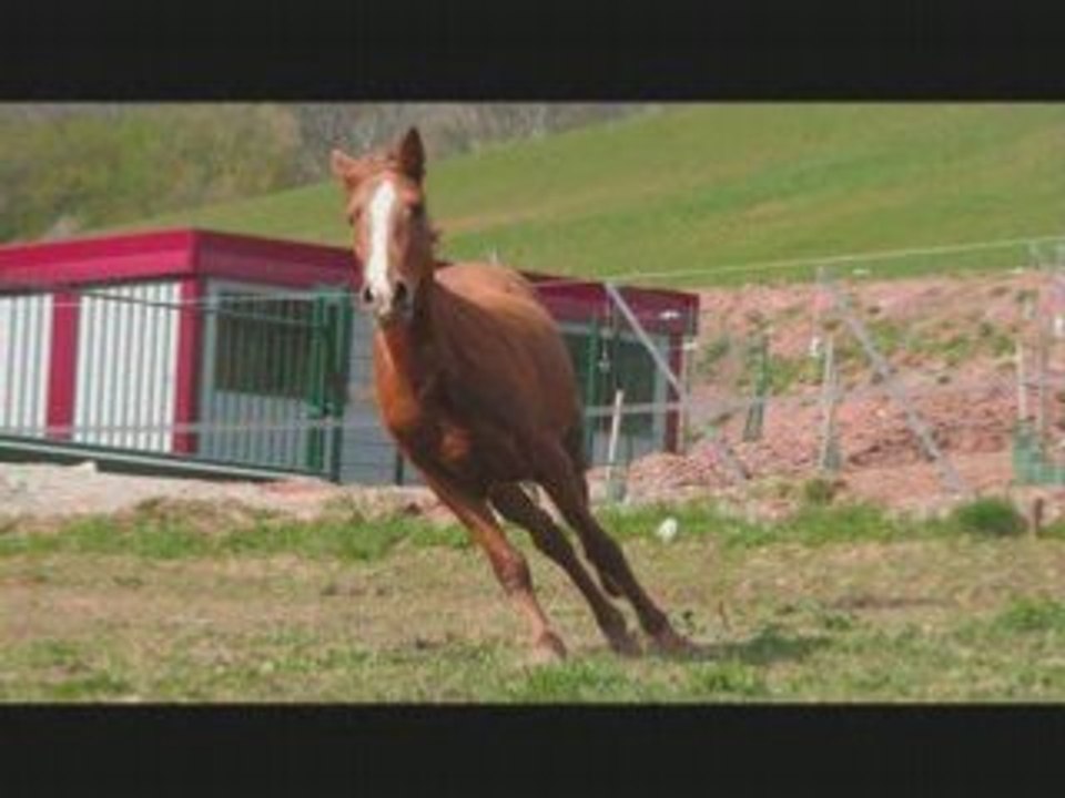 Defoulage opium et diabolo
