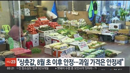 "상춧값, 8월 초 이후 안정…과일 가격은 안정세"