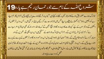 QURAN Para 19 | Udur Translation Only | Quran Urdu