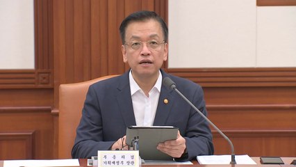 최상목 "기상이변으로 7월 물가 일시적 반등 가능성" / YTN