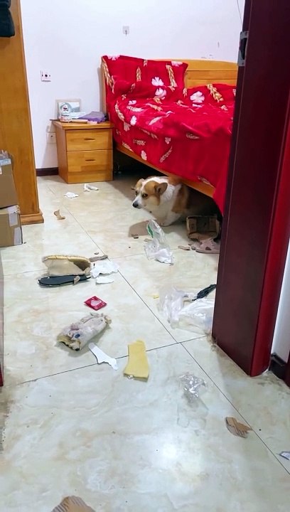 Caught Red handed