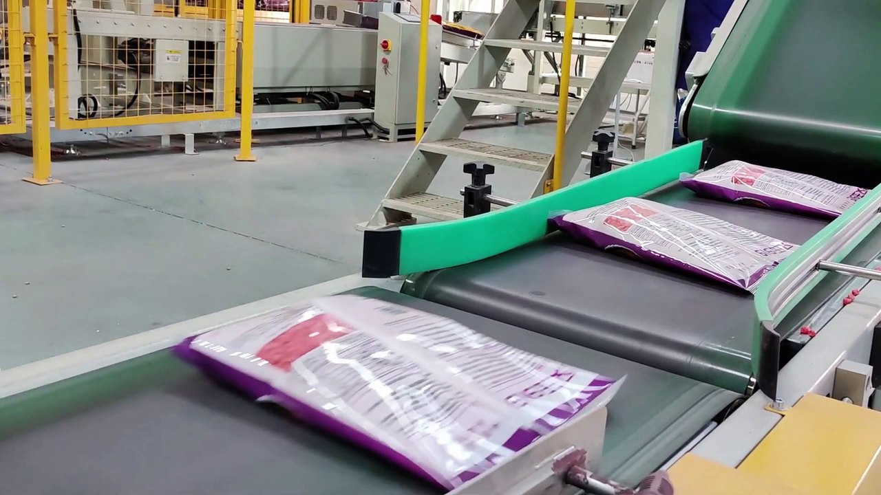 Bag in Bag Secondary Packing Machine 1KG  2KG Bag into PP Woven Master Bag