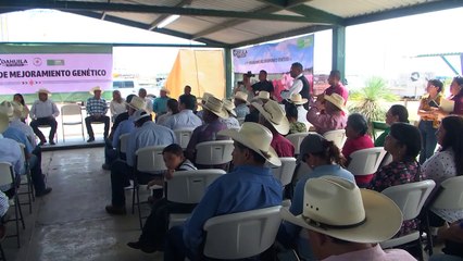 Las lluvias beneficiaron al sector campesino y ganadero de San Buena  _  NRT noticias