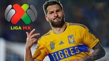 Gignac sobre el parón de Liga MX para jugar Leagues Cup: 