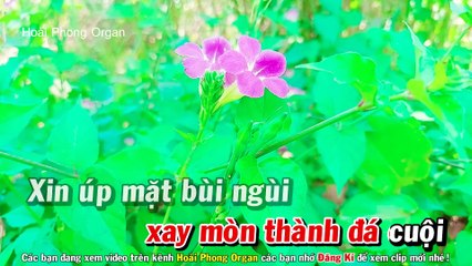 Karaoke Cát Bụi Nhạc Sống Tone Nữ Mới Nhất - Hoài Phong Organ