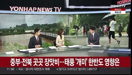 [뉴스센터] 중부·전북 곳곳 장맛비…태풍 '개미' 한반도 영향은