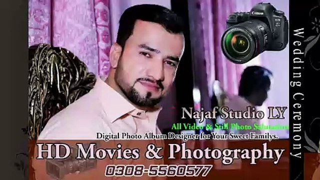 Greyhound Dog Race | Part 01 | Greyhound Champion Track Race In Layyah | Najaf Studio Official