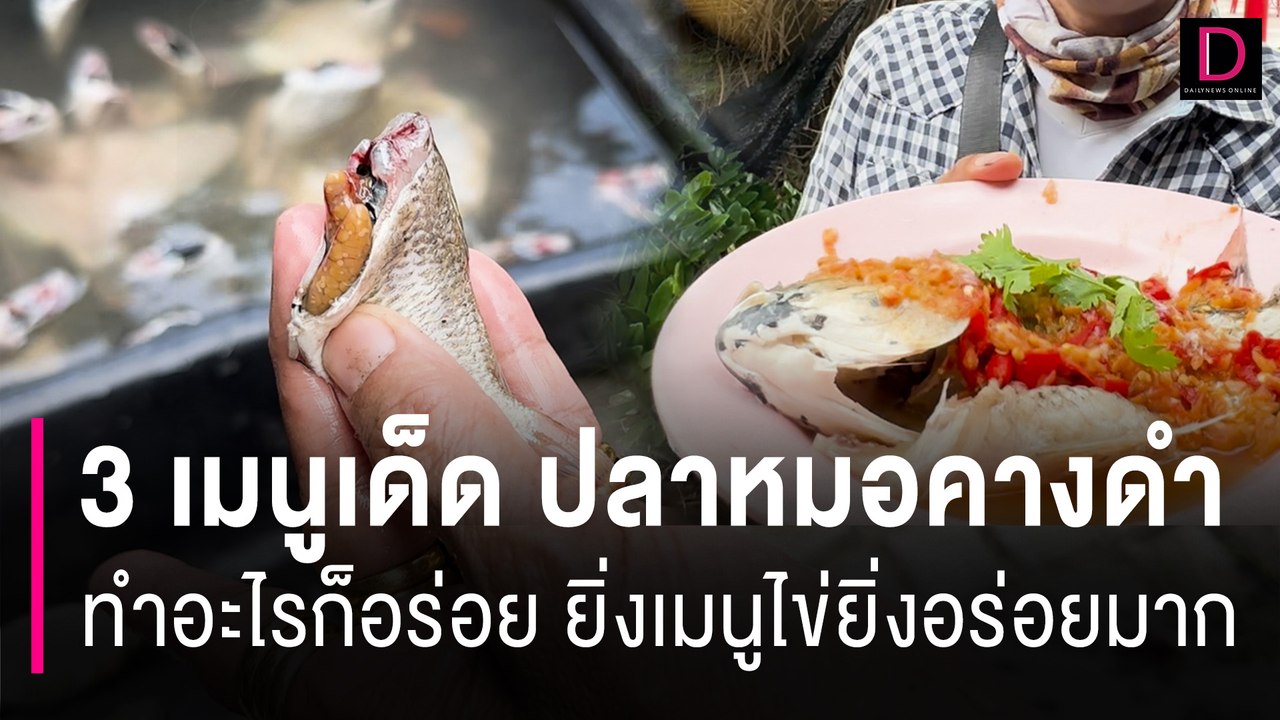 เปิด3เมนูเด็ด !ปลาหมอคางดำทำอะไรก็อร่อย ยิ่งเมนูไข่ยิ่งอร่อยมาก | HOTSHOT เดลินิวส์ 23/07/67