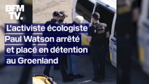 Pourquoi le militant écologiste Paul Watson, fondateur de Sea Shepherd, a été arrêté au Groenland