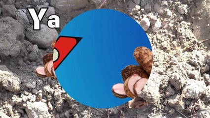 Y is for Yum  Fun and Educational ABC Poem for Kids  Learn Alphabet with Delicious Foods