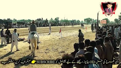 #horsedance #foryoupage #fypviral #foryou #viral9