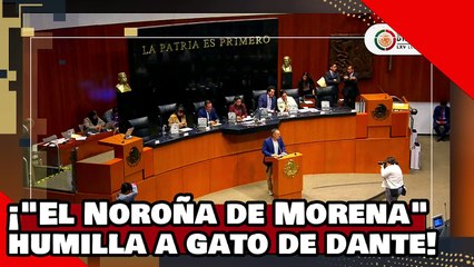 ¡VE! ¡‘El Noroña de Morena’ pone en su lugar a ‘Gatete’ de Dante Delgado por atacar ‘el plan C’!