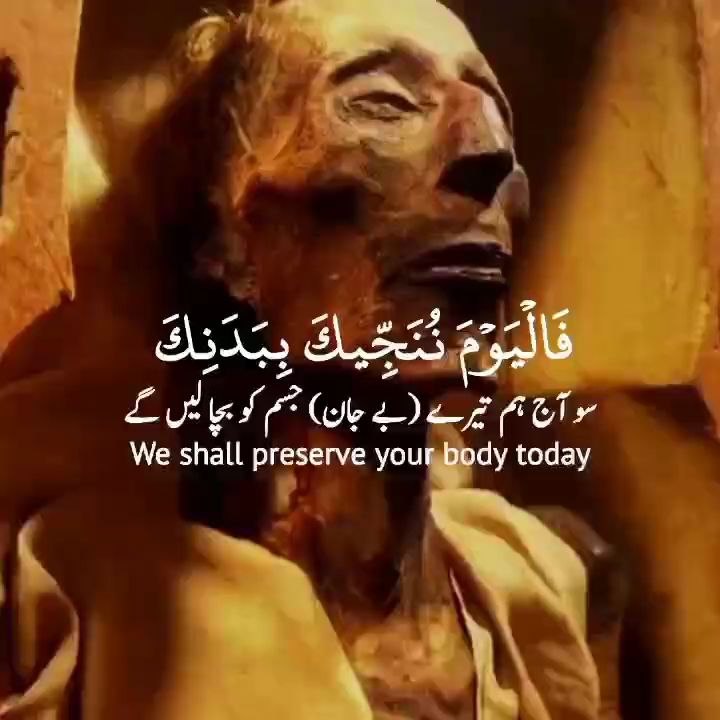 Quran recitation