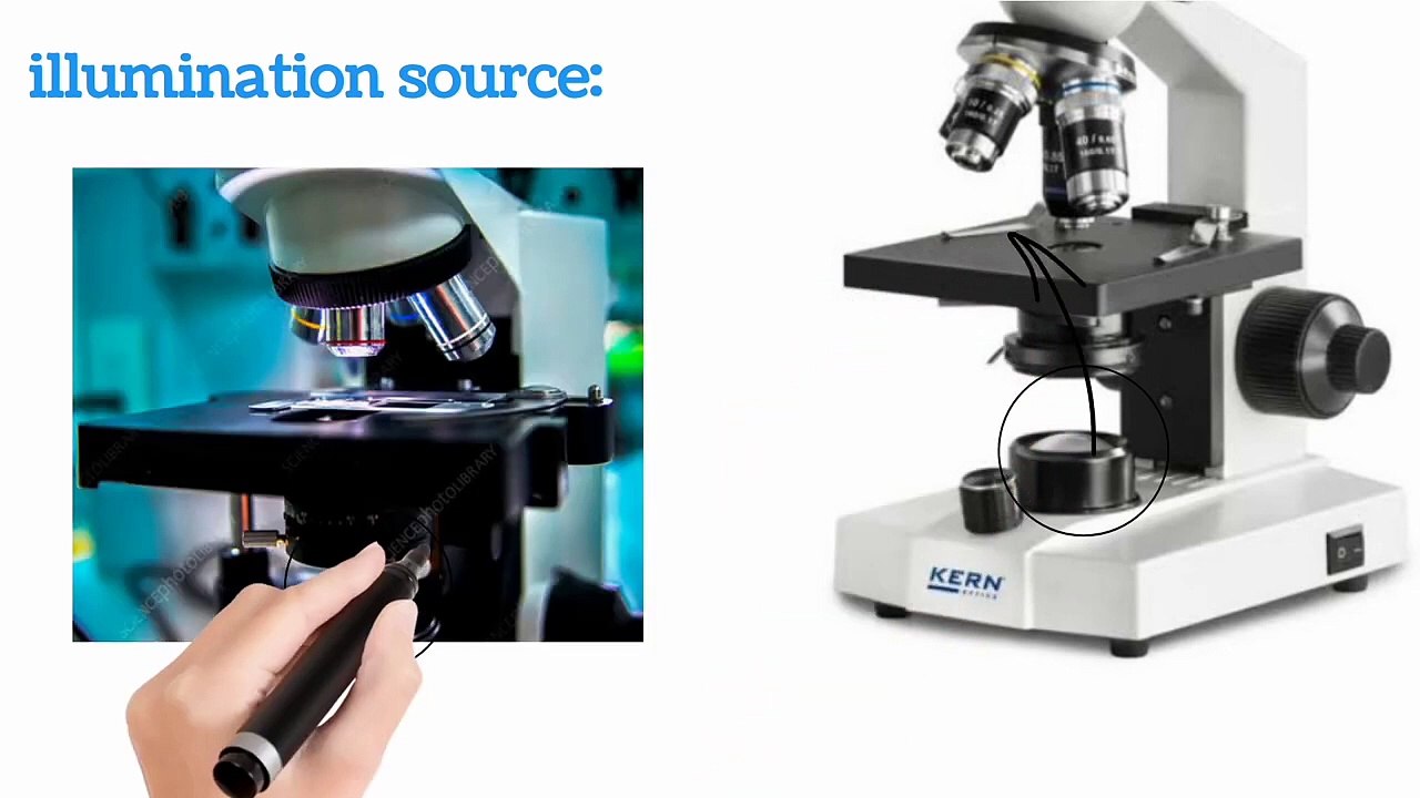 light microscope in Urdu / in Hindi | lecture # 2 | cells and tissues | chapter # 4 | 9 class biology