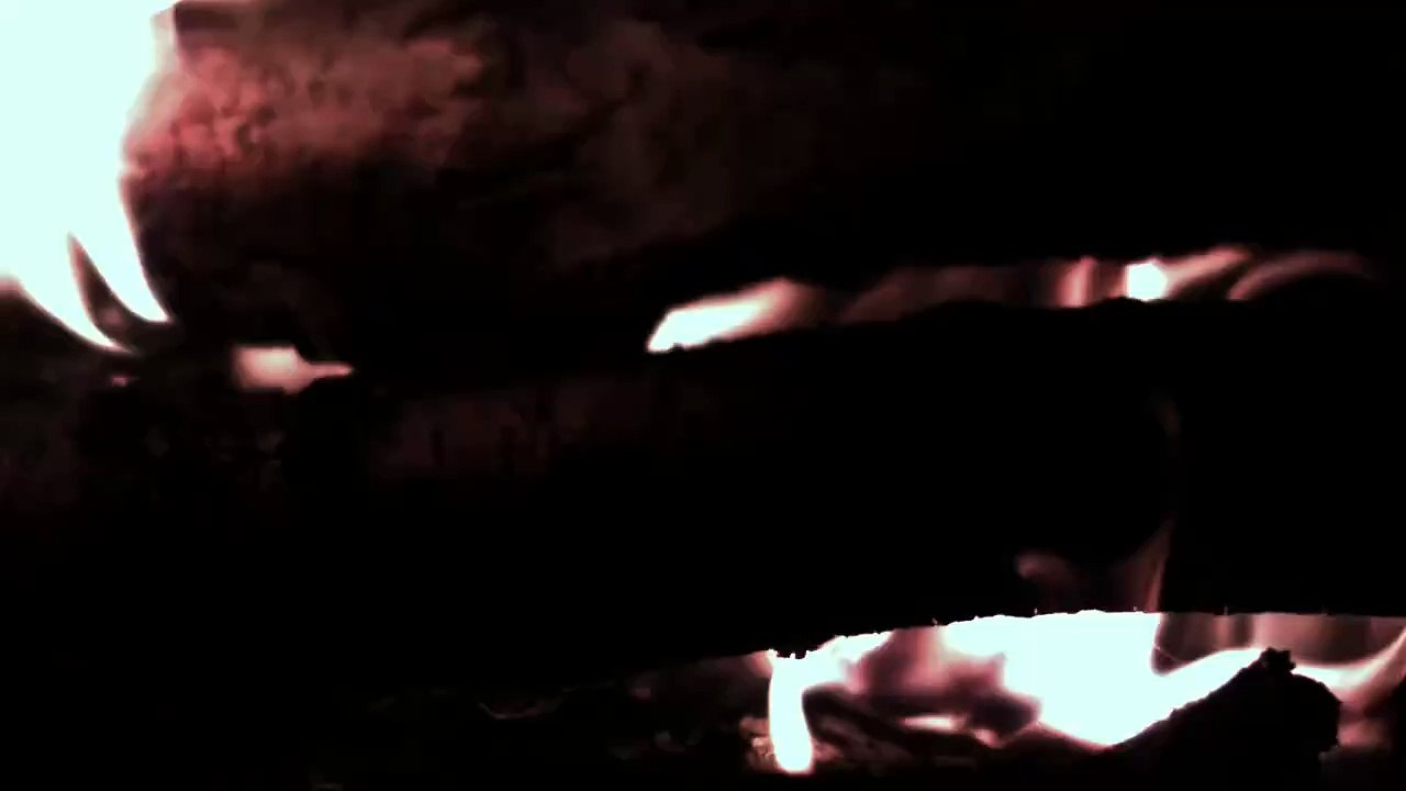 Can You Burn Briquettes in a Log Burner